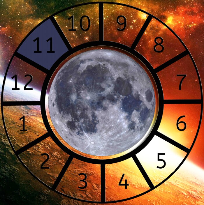 The Moon shown within a Astrological House wheel highlighting the 11th House